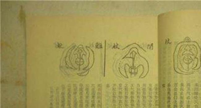 【林国雄陈秀雯】陈秀雯被老公骗千万 妹妹斥林国雄比倪震更糟