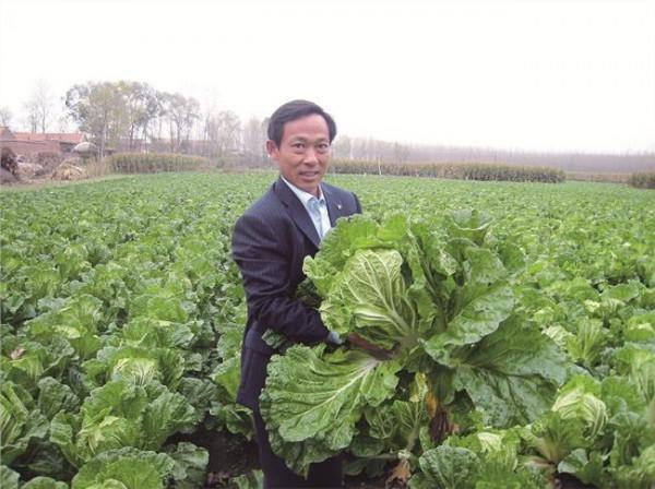 >刘明辉减持 (代表建议)刘明辉代表:打造农业品牌坚持必不可少