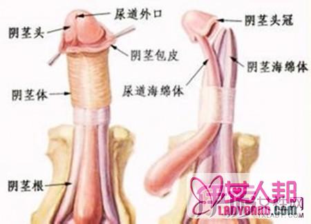 >包皮激光手术的治疗原理是什么 手术后的9个注意事项