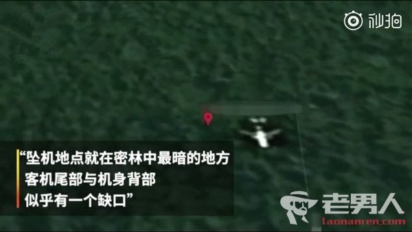 英专家疑发现MH370残骸 或坠毁于柬埔寨密林深处