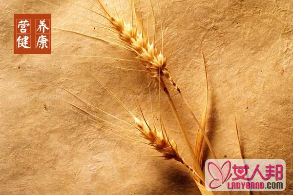 【麦芽】麦芽的功效与作用及食用方法