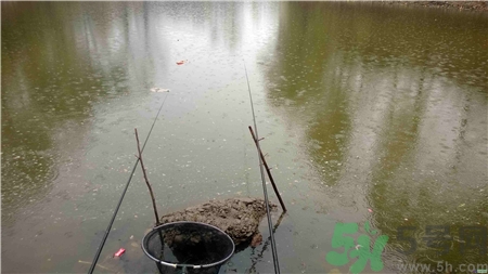 十月下雨能钓鱼吗?十月下雨天鲢鱼好钓吗?