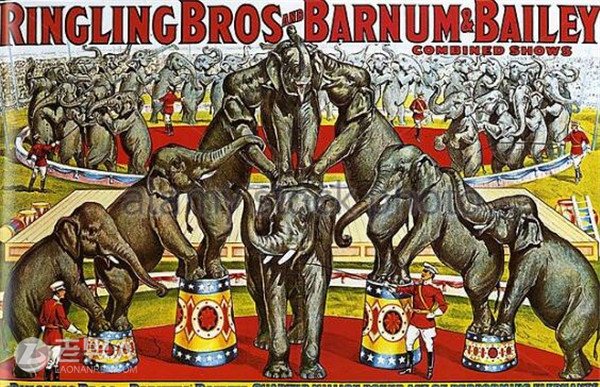 Ringling兄弟马戏团倒闭 百年老字号被时代淘汰