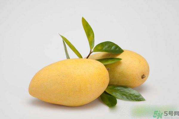 芒果是热性还是凉性？芒果的作用有哪些？