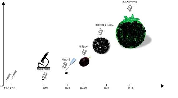 >徐克成癌症克星 徐克成:某些癌症可以预防 癌症是种慢性病