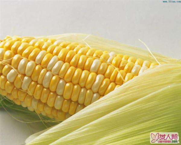 玉米的营养价值有哪些