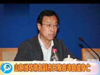 陈白峰之死 山东潍坊常务副市长陈白峰自缢身亡 死因正在调查