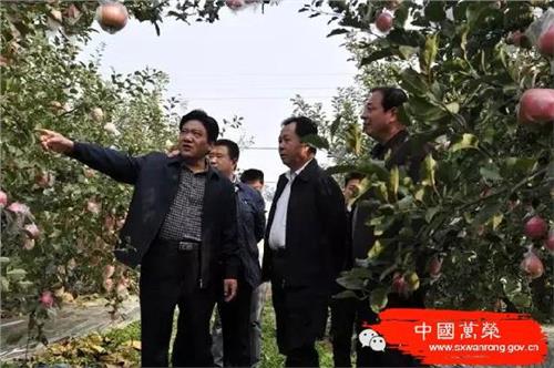 万荣李尧林 万荣县委书记李尧林:把万荣苹果种好卖好