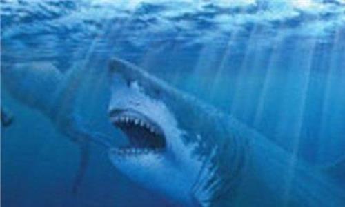 巨齿鲨电影免费 《巨齿鲨》 一部动作科幻冒险电影