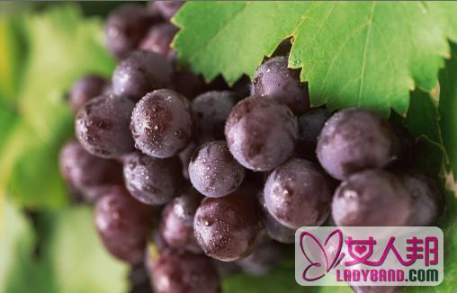 紫葡萄营养价值和保健作用