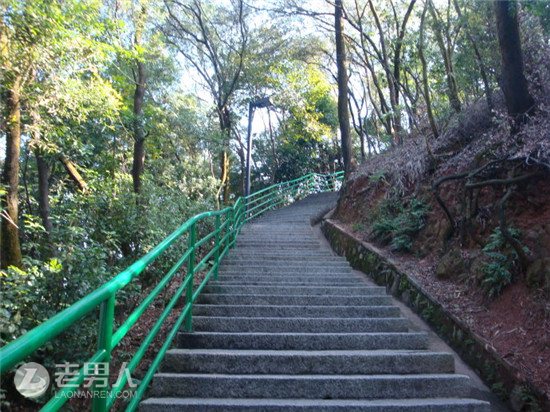 东莞各大森林公园旅游攻略汇总  去运动运动吧！
