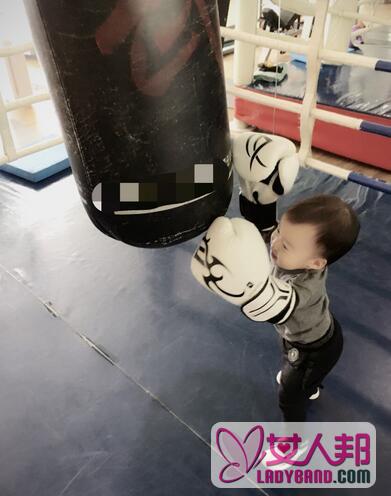 严苛老爸吴京教1岁儿子健身练拳击 小伙子有模有样架势足