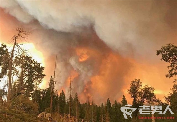 美国山火威胁约塞美蒂公园 山火过火面积超148平方公里