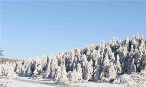 仙女山公墓 仙女山十二月份有雪吗 重庆仙女山几月份有雪