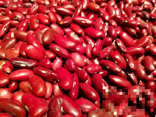 >红豆薏米粥的功效及做法