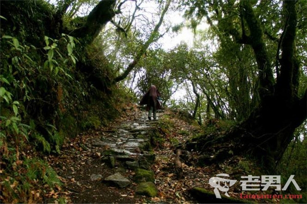 >七种不同路面徒步经验盘点：泥土路应抓地 雪地需防裂隙