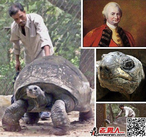 >世界10大最长寿动物：龟最长能活255岁【图】
