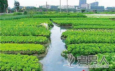 广东南雄200年余前“神仙渠”至今仍灌溉万亩良田
