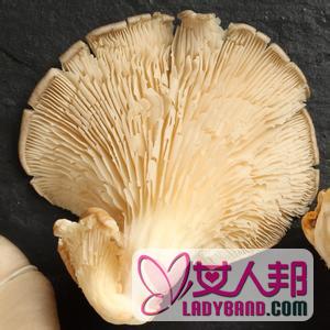 >【鲍鱼菇的功效与作用】鲍鱼菇的营养价值_鲍鱼菇的做法