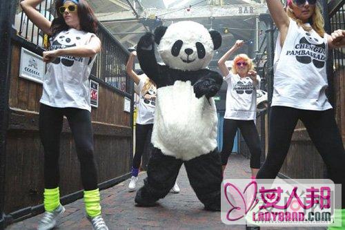 《熊猫style》萌熊猫大跳骑马舞 “成都熊猫守护使”红遍全球
