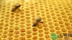 >糖尿病人能吃蜂胶吗?糖尿病吃蜂胶有什么好处