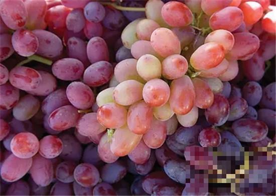 葡萄的营养价值 缓解低血糖