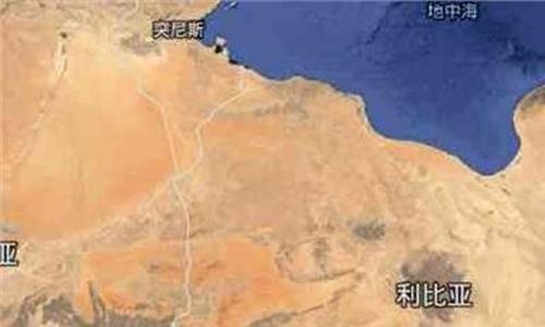 利比亚东西政府 利比亚“国民军”否认与民族团结政府停战