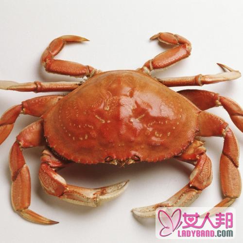 >螃蟹的功效与作用及食用方法_螃蟹的营养价值