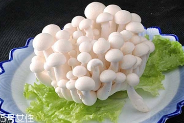 白玉菇和海鲜菇的区别 白玉菇和海鲜菇是一样的吗？