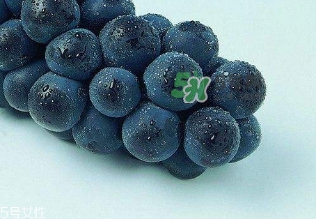 紫葡萄的营养价值_紫葡萄的功效与作用及饮食禁忌