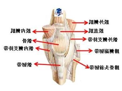 >高强度间歇性有氧训练 高强度间歇训练之后 膝盖疼肿么办?