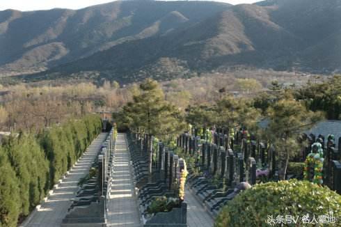 赵丽蓉墓地 高枫骨灰安葬北京温泉墓园 与赵丽蓉为邻