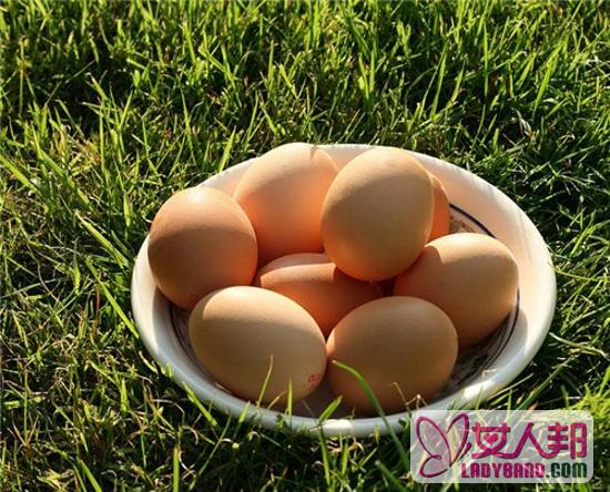 早上吃鸡蛋有什么好处 补充优质蛋白质