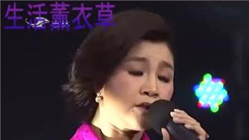 张玮伽翻唱的好听的歌 揭秘其演艺经历