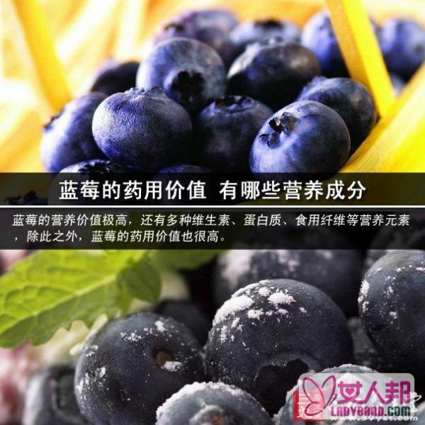 蓝莓的药用价值 有哪些营养成分