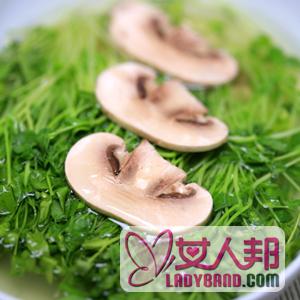 【豆苗蘑菇汤】豆苗蘑菇汤的做法_豆苗蘑菇汤的营养价值