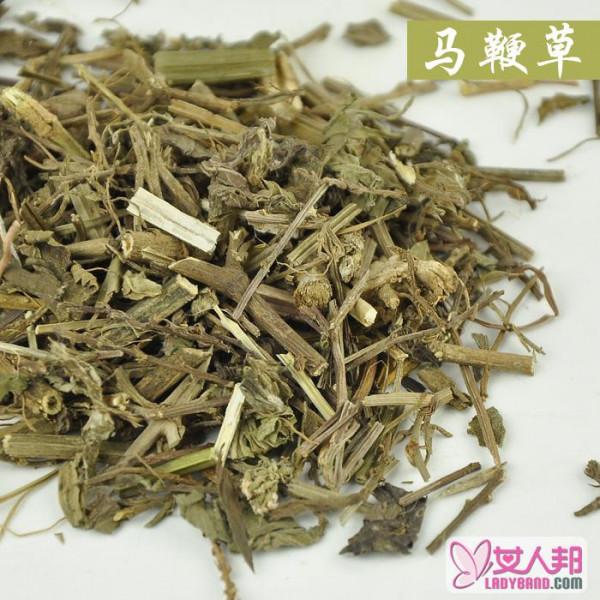 马鞭草茶