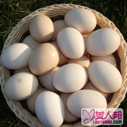 >鸡蛋的功效与作用及食用方法_鸡蛋的营养价值