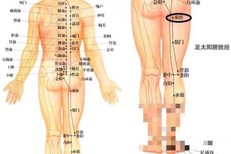 >大腿穴位图大放送 按准位置瘦腿不是梦