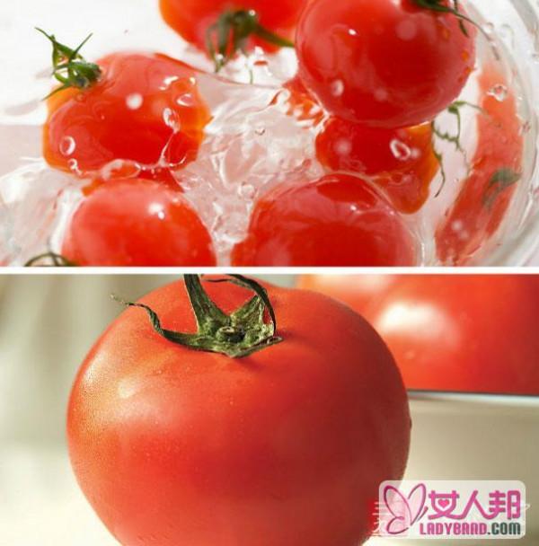 西红柿的营养价值 西红柿的6个营养功效