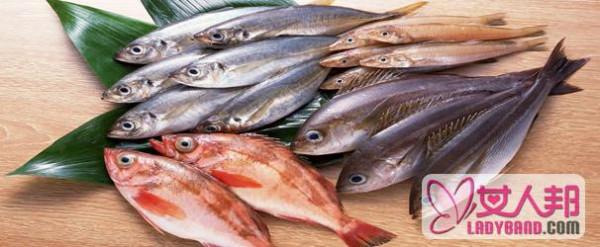 鲢鱼的做法 鲢鱼的营养价值