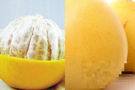 了解柚子的功效与作用及禁忌 吃出健康其实很简单