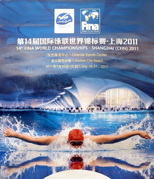 庄泳游泳 奥运冠军庄泳:为游泳改名字 世游赛我像工作人员