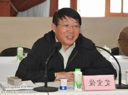 >上海副市长艾宝俊涉严重违纪 其妻刚去世被指涉嫌操纵股市