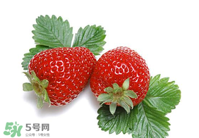 夏天有草莓吗？夏天草莓结果吗？