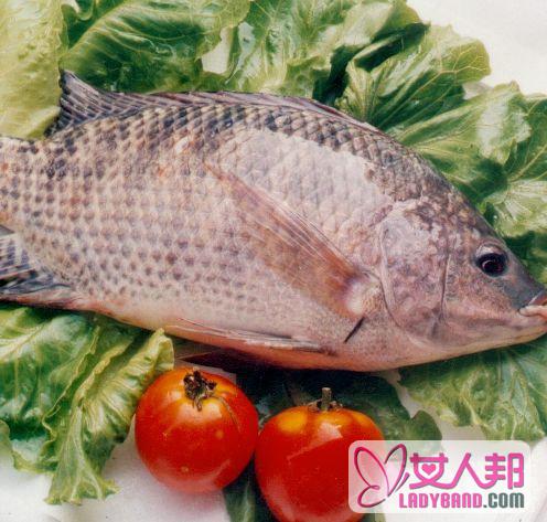 解析传统名菜糖醋鲤鱼是哪的菜