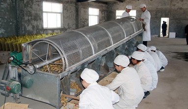 关于农副产品深加工业发展情况的调研报告