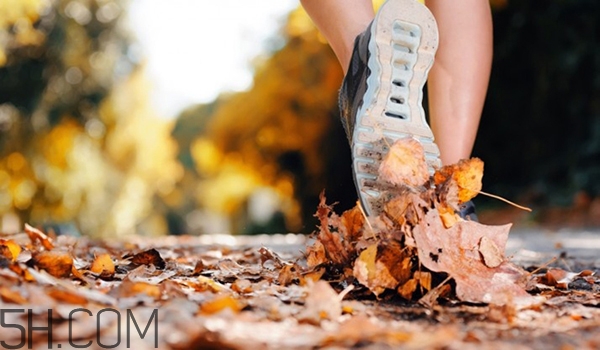 慢跑和快走哪个减肥效果更好？长期慢跑的好处有哪些？