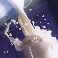 多喝牛奶会致癌吗？(图)