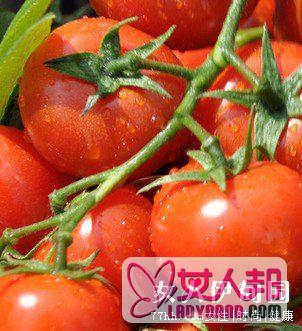 西红柿轻松减肥